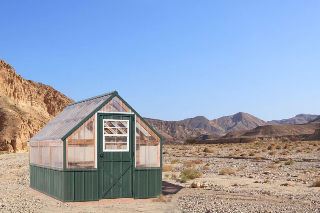 Desert Landscape