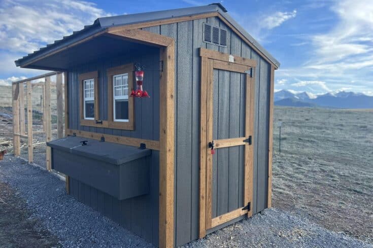 6×8 Chicken Coop in Cotopaxi, CO