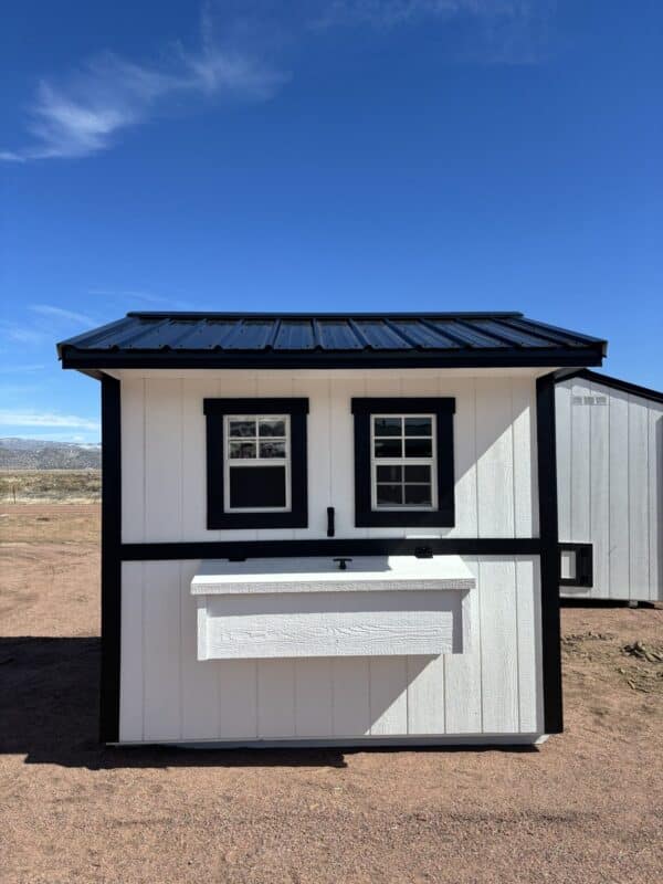 6X8 Chicken Coop