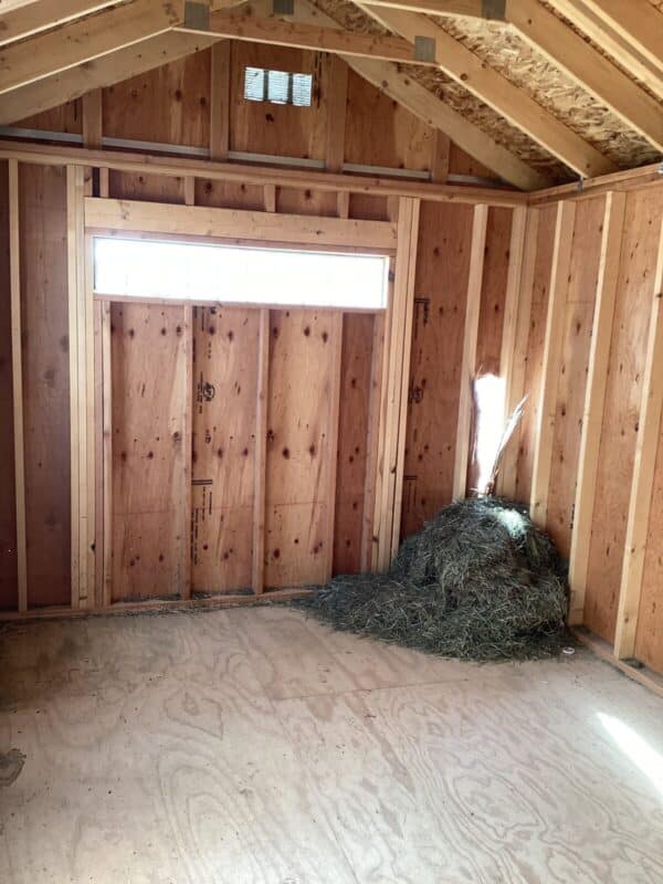 Rental Return 10x16 Studio Gable - Image 3